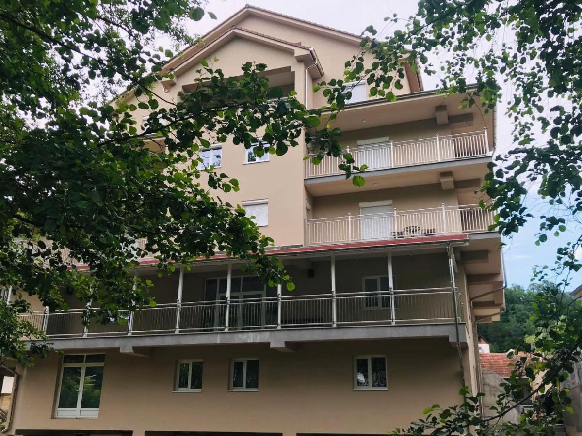 Apartmani & Spa Matin Breg Josanicka Banja المظهر الخارجي الصورة